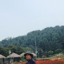 용인 농촌테마파크 여행.2023.9.19.화요일 이미지