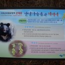 춘향봄향기 이미지