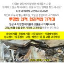 태양빌 주변 이미지