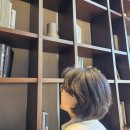 화개초등학교 이미지