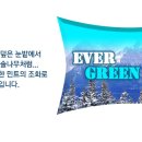 전자담배멀티샵 이미지