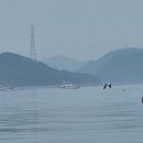 아쿠아좌대낚시터 이미지