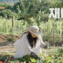 가비민박 이미지