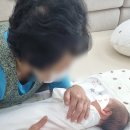 참사랑어머니회 이미지