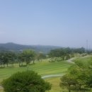 홍진골프연습장 이미지