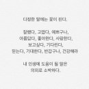 허상과 실상의 공존 이미지