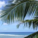 딸부잣집 이미지