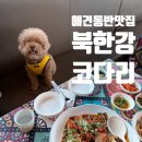 북한강코다리 | [남양주맛집] 서울근교여행 추천! 애견동반 가능한 북한강 코다리 후기