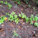 용광농장 이미지