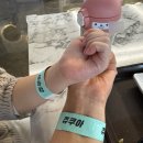 키즈쿠아 | 김포 풍무동 쥬쿠아 키즈카페 동물원,수족관,키즈놀이터까지 한 번에 즐긴 만족도 100%인 곳