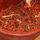대야식품