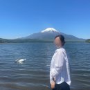 마이벤또 | 도쿄 2일차 후지산 투어 🇯🇵 내돈내산 솔직후기 ⭐️