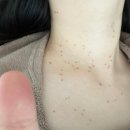 평송의원 이미지