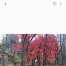 동악사 이미지
