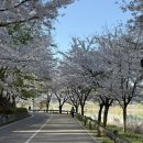 폴린 필라테스