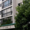 강남-296 이미지