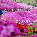 4월26일(수)수리산 철쭉꽃동산+무성봉+생태공원으로 하산 이미지