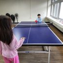 철원탁구장 이미지