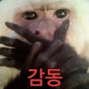 항아리칼국수 이미지