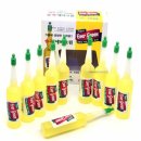 에버그린 이미지