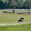 원당목장 이미지