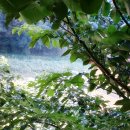 공주하늘 민박 이미지