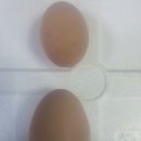 해보농장 이미지