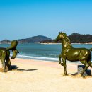 대광해수욕장 이미지