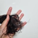 (주)콘디코리아 이미지