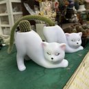 쉐르홈즈 이미지