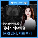 성신동물병원 | 성신여대 동물병원 강아지 뇌수막염 치료 후기