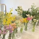 신월동191 이미지