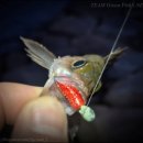 연안사거리2(전자랜드앞) | 볼락웜 테스트 차 잠시 다녀온 도보권 지그 게임 포인트 (울산 울주군 온산읍 대한유화 앞)