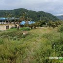 이명산농장 Daum카페