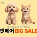 풍암대형복사 올치올치