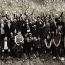 들국화 카카오 검색결과