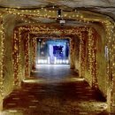 냉풍욕장 이미지