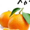 창주농장 이미지