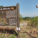 청성역사공원 지역 티스토리