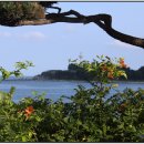 기적소리 이미지