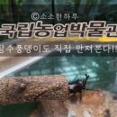 국립농업박물관 | 수원 국립농업박물관 아이랑 후기, 식물원 곤충관 체험까지