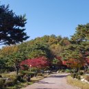 설악밸리 이미지