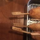 카페요트