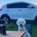 비봉산 등산로 화장실 이미지