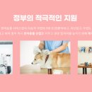 (단기)반려동물미용사(자격증) 이미지