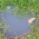 수완현진에버빌1단지 이미지