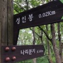 여자중계소 이미지