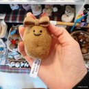 라라샵 중앙점 | 강릉 여행 기념품 사기 좋은 곳 소품샵 라라의안목 1 2 3호점 비교 후기