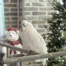 꼬꼬랜드 | 나주 아기랑 갈만한곳 나주랜드 솔직후기