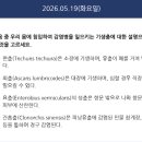 엠디19